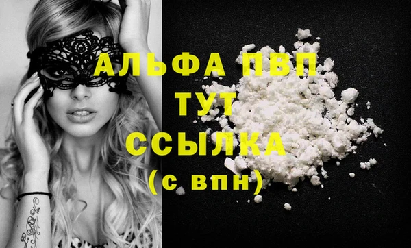 ГАЛЛЮЦИНОГЕННЫЕ ГРИБЫ Михайлов