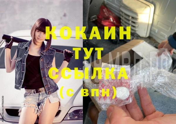 ГАЛЛЮЦИНОГЕННЫЕ ГРИБЫ Михайлов