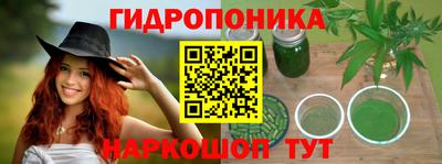 скорость Гусев