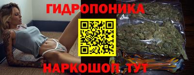 шишки Абинск