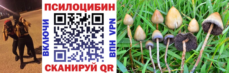 Псилоцибиновые грибы мицелий  KRAKEN ссылка  Чусовой 