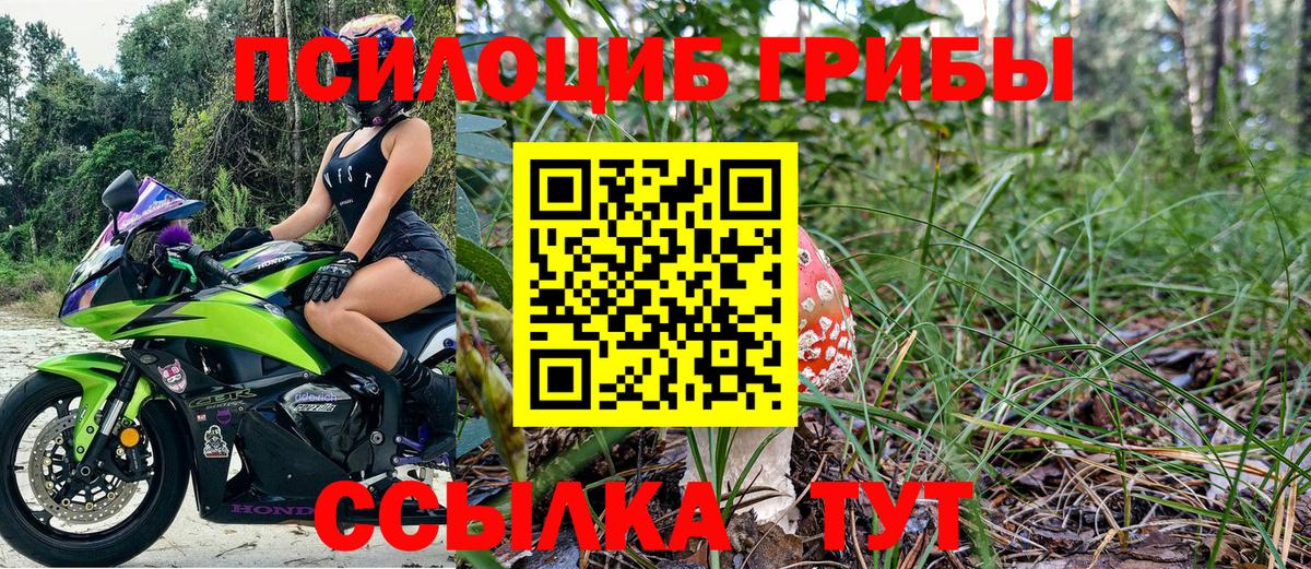 Чусовой  Галлюциногенные грибы Psilocybine cubensis  Вход с VPN 