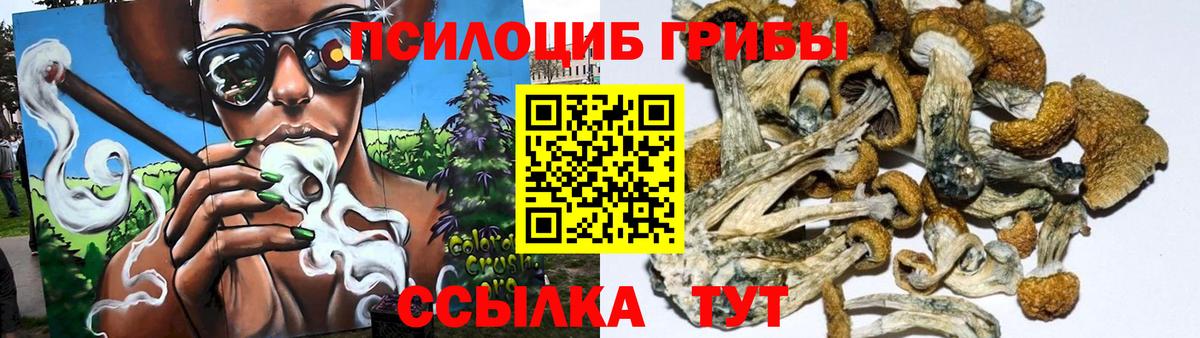 Галлюциногенные грибы GOLDEN TEACHER Чусовой